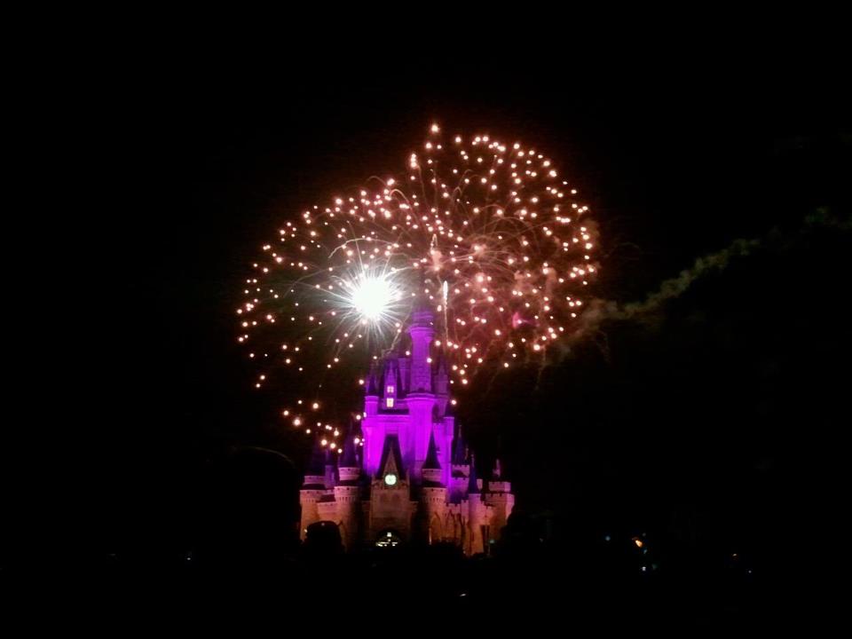Disney Magic Kingdom Rides
