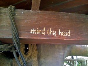 Mind Thy Head